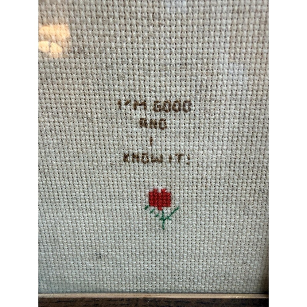 Handmade Cross Stitch I'm Good and I Know It! Framed Wood and Glass Wall Art